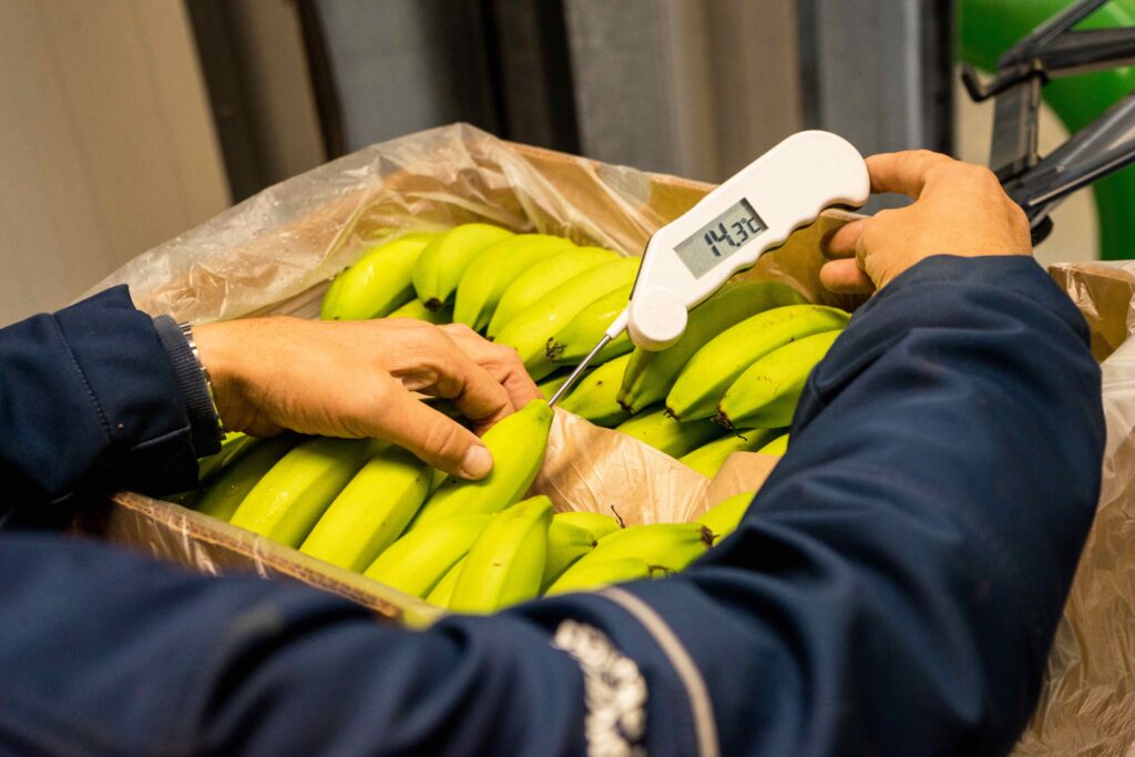 De Groot Fresh Group bananenrijperij