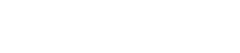 fruit_bridge_logo
