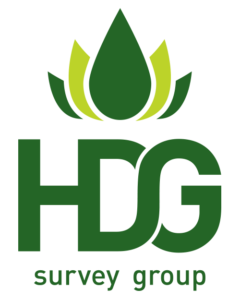 hdg group logo hoog